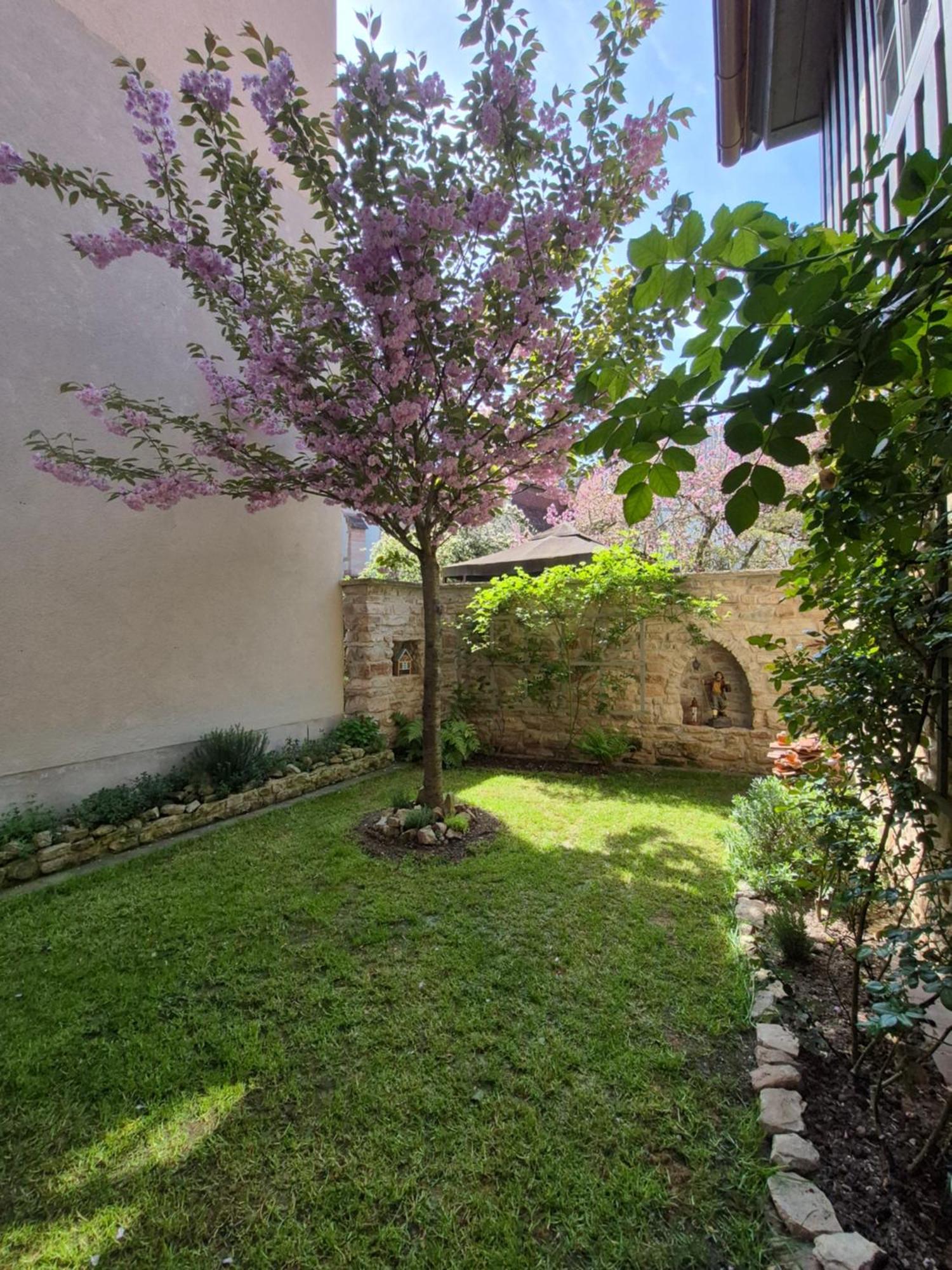 Aussergewoehnliches, Historisches, Spaetgotisches Wohnhaus Von 1519, Gries 5 Γκέρα Εξωτερικό φωτογραφία